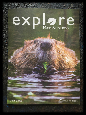 Mass Audubon Explore Cover